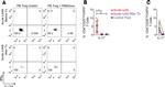 FOXP3 Antibody in Flow Cytometry (Flow)