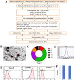 CD44H Antibody in Flow Cytometry (Flow)