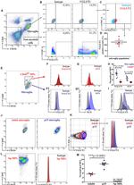 CD45 Antibody in Flow Cytometry (Flow)