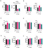 CD66a (CEACAM1) Antibody in Flow Cytometry (Flow)