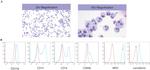 Myeloperoxidase (MPO) Antibody in Flow Cytometry (Flow)