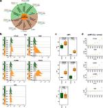 TIGIT Antibody in Flow Cytometry (Flow)