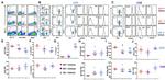 FOXP3 Antibody in Flow Cytometry (Flow)