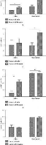 CD197 (CCR7) Antibody in Flow Cytometry (Flow)