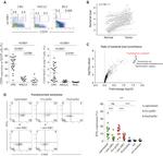 IFN gamma Antibody in Flow Cytometry (Flow)