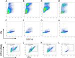 CD16 Antibody in Flow Cytometry (Flow)