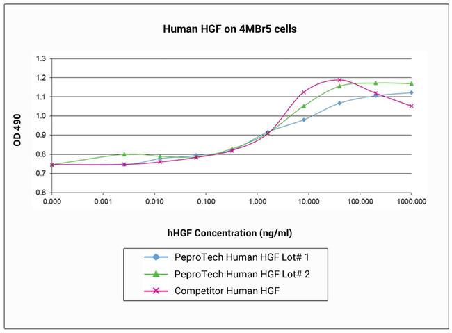 Human HGF Protein in Functional Assay (Functional)