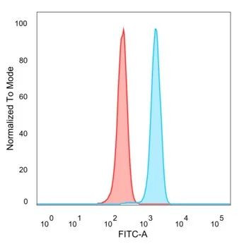 CEBPE Antibody in Flow Cytometry (Flow)