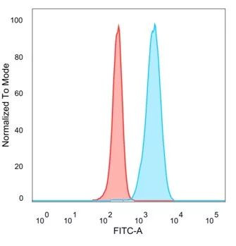 IGF2BP2 Antibody in Flow Cytometry (Flow)