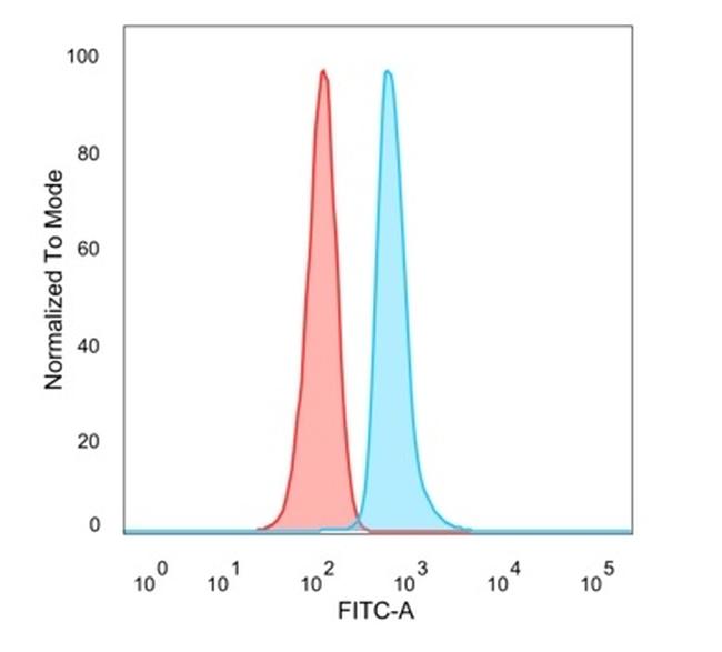 DMRT2 (Transcription Factor) Antibody in Flow Cytometry (Flow)