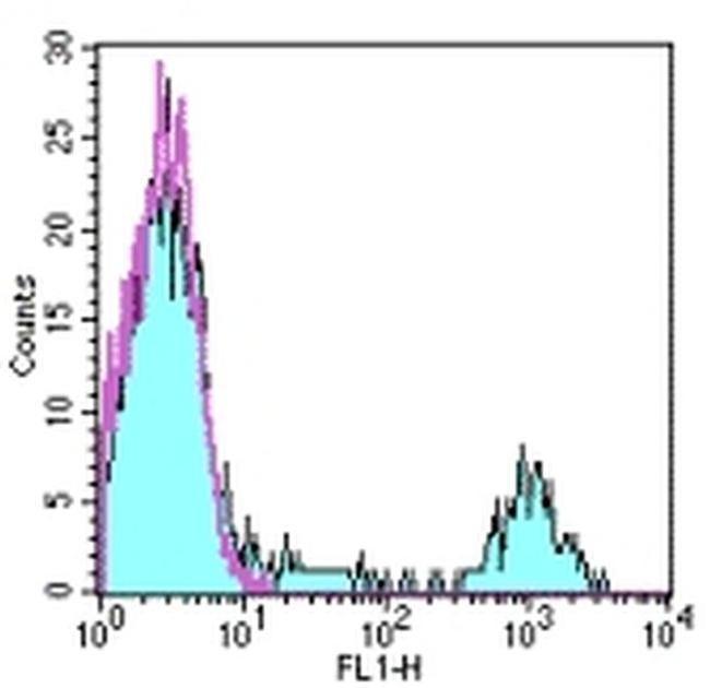 CD20 Antibody in Flow Cytometry (Flow)