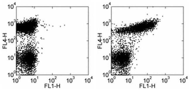 CD21/CD35 Antibody in Flow Cytometry (Flow)