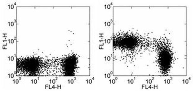 CD43 Antibody in Flow Cytometry (Flow)