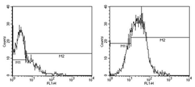 CD80 (B7-1) Antibody in Flow Cytometry (Flow)