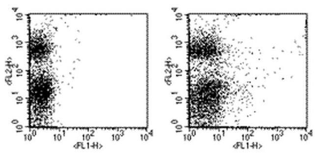 CD117 (c-Kit) Antibody in Flow Cytometry (Flow)