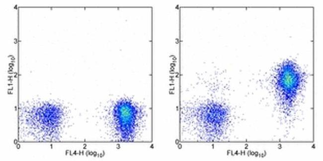 CD127 Antibody in Flow Cytometry (Flow)