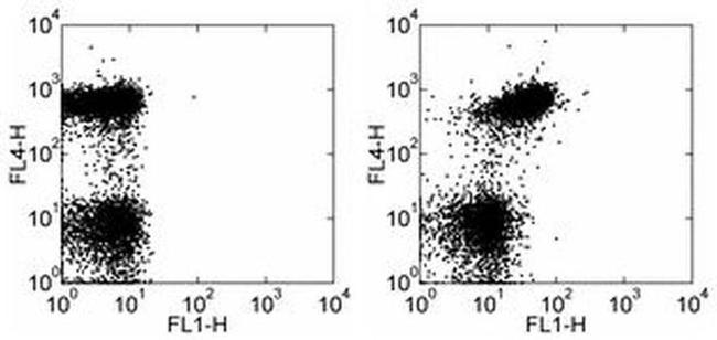 CD150 Antibody in Flow Cytometry (Flow)