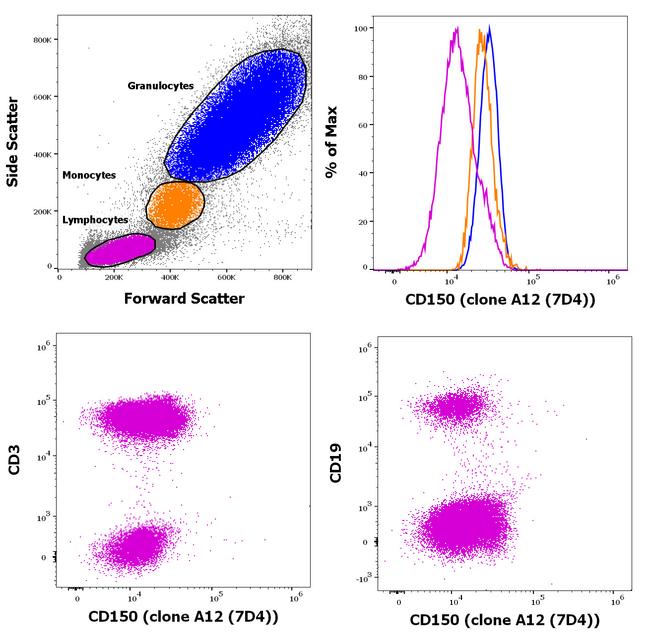 CD150 Antibody in Flow Cytometry (Flow)