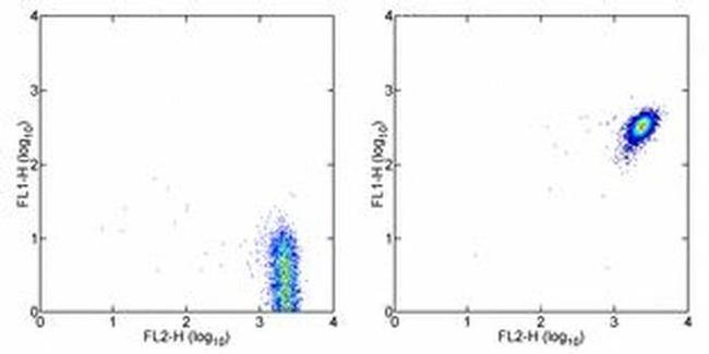 CD181 (CXCR1) Antibody in Flow Cytometry (Flow)