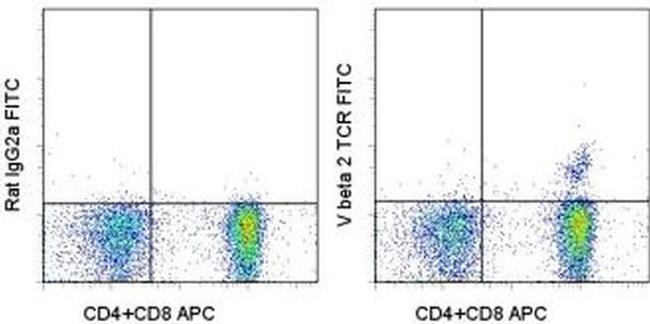 TCR V beta 2 Antibody in Flow Cytometry (Flow)