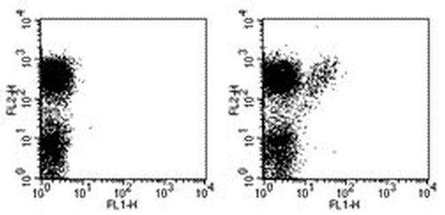 TCR gamma/delta Antibody in Flow Cytometry (Flow)