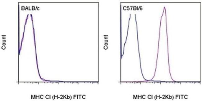 MHC Class I (H-2Kb) Antibody in Flow Cytometry (Flow)