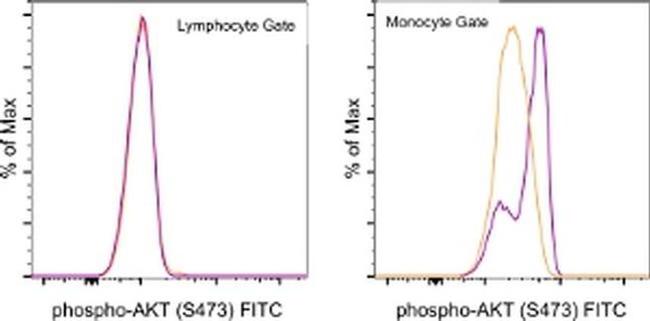 Phospho-AKT1 (Ser473) Antibody in Flow Cytometry (Flow)