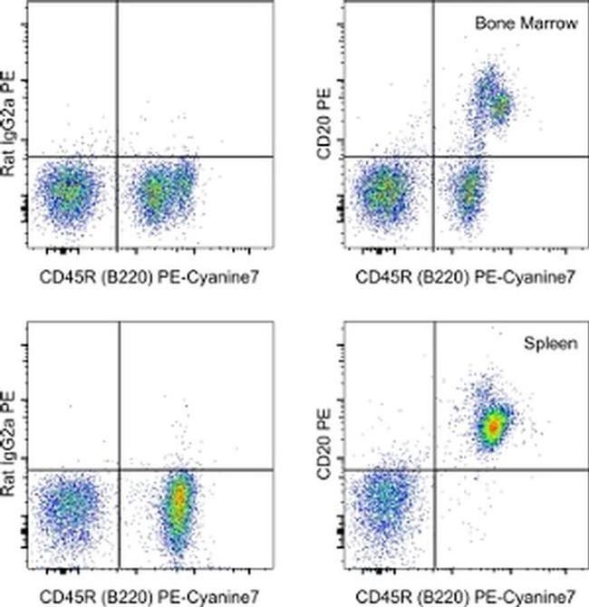 CD20 Antibody in Flow Cytometry (Flow)