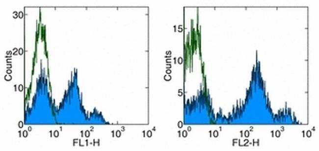 CD26 Antibody in Flow Cytometry (Flow)