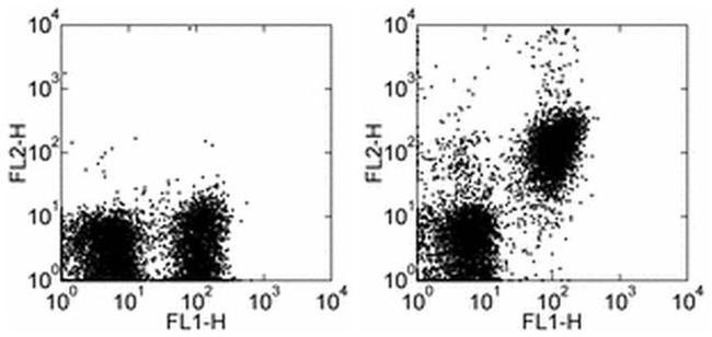 CD28 Antibody in Flow Cytometry (Flow)