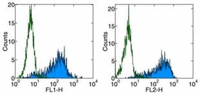 CD86 (B7-2) Antibody in Flow Cytometry (Flow)