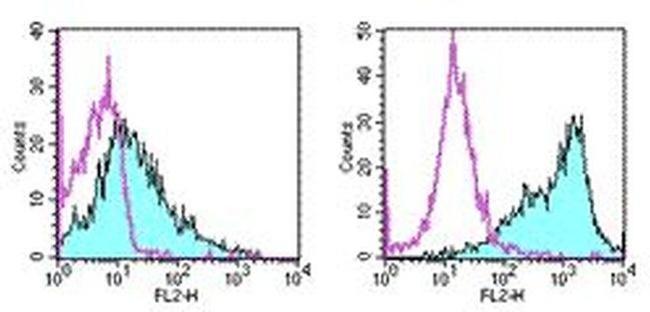 CD86 (B7-2) Antibody in Flow Cytometry (Flow)