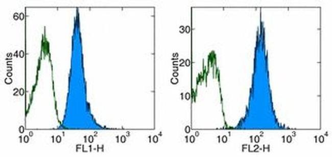 CD98 Antibody in Flow Cytometry (Flow)