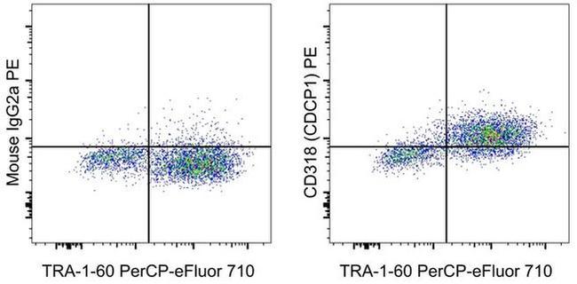 CD318 (CDCP1) Antibody in Flow Cytometry (Flow)