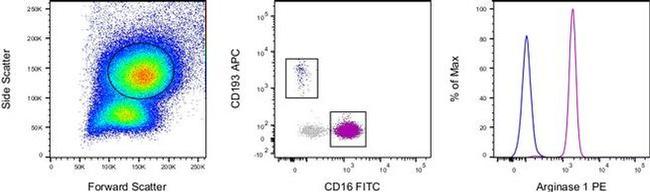 Arginase 1 Antibody in Flow Cytometry (Flow)