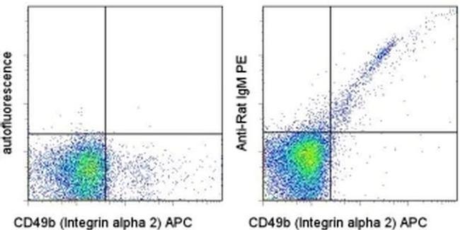 IgM Antibody in Flow Cytometry (Flow)