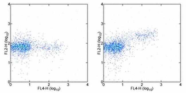 FOXP3 Antibody in Flow Cytometry (Flow)