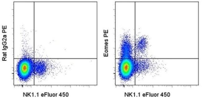 EOMES Antibody in Flow Cytometry (Flow)