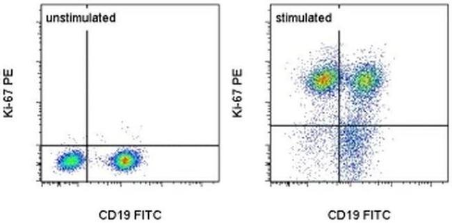 Ki-67 Antibody in Flow Cytometry (Flow)