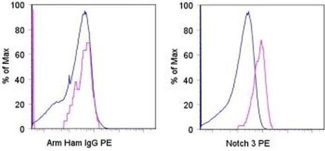 NOTCH3 Antibody in Flow Cytometry (Flow)