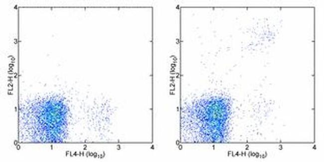 Ly-49A/D Antibody in Flow Cytometry (Flow)