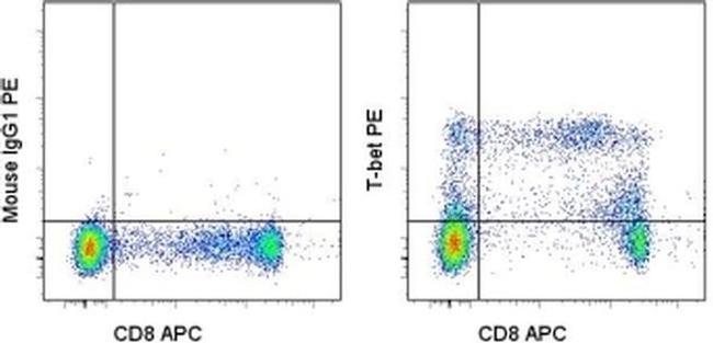 T-bet Antibody in Flow Cytometry (Flow)