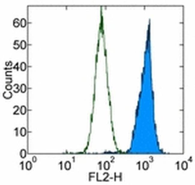 OCT3/4 Antibody in Flow Cytometry (Flow)