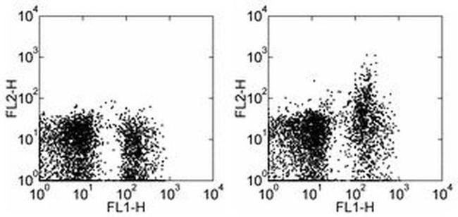 CD249 (BP-1) Antibody in Flow Cytometry (Flow)