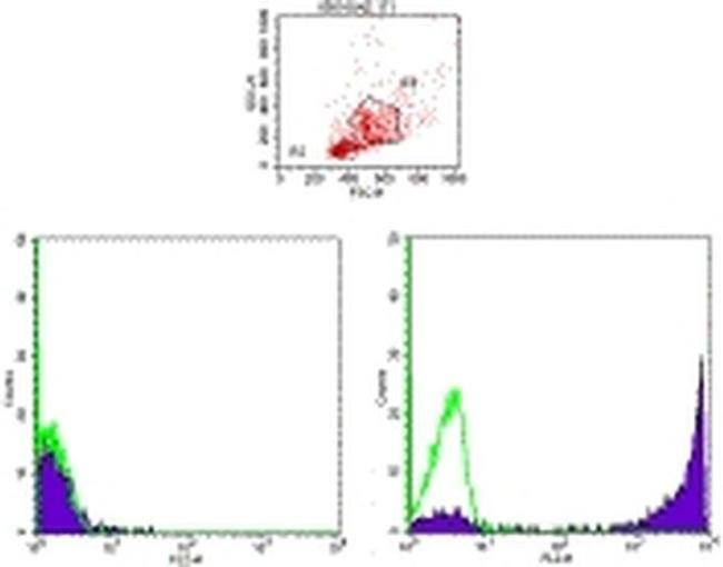 Ly-6G/Ly-6C Antibody in Flow Cytometry (Flow)