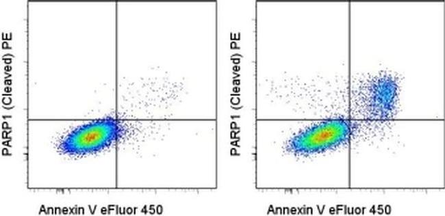 PARP1 (cleaved Asp214) Antibody in Flow Cytometry (Flow)