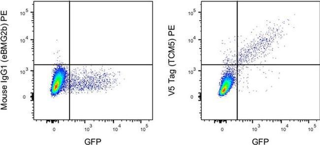 V5 Tag Antibody in Flow Cytometry (Flow)