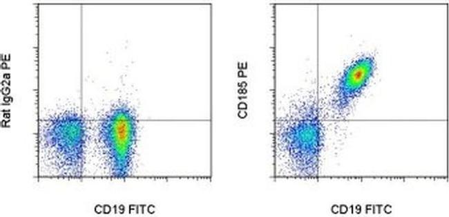 CD185 (CXCR5) Antibody in Flow Cytometry (Flow)