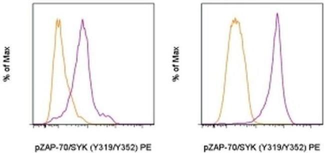 Phospho-ZAP70/Syk (Tyr319, Tyr352) Antibody in Flow Cytometry (Flow)