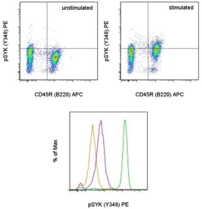 Phospho-Syk (Tyr348) Antibody in Flow Cytometry (Flow)